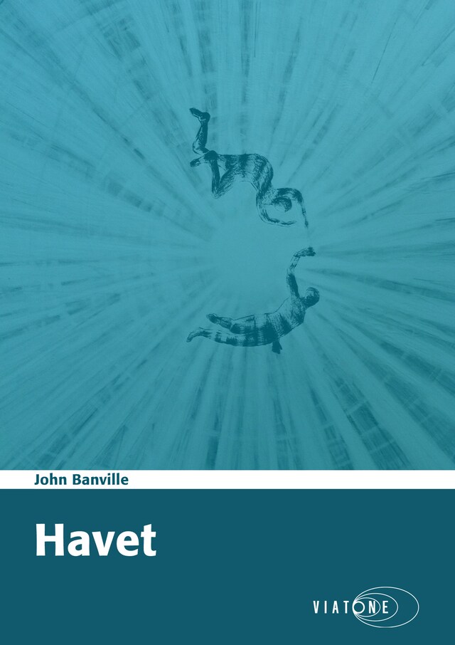 Book cover for Havet
