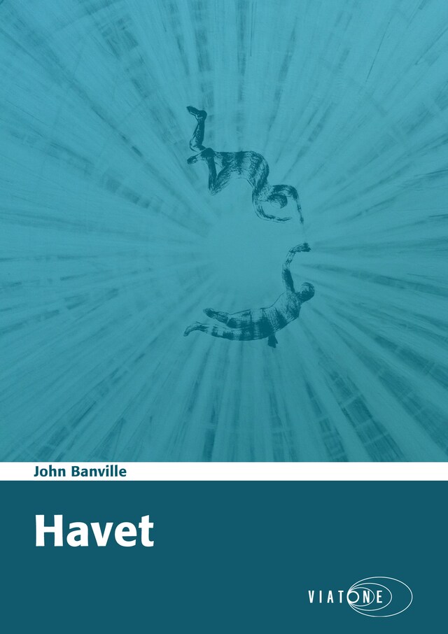 Buchcover für Havet