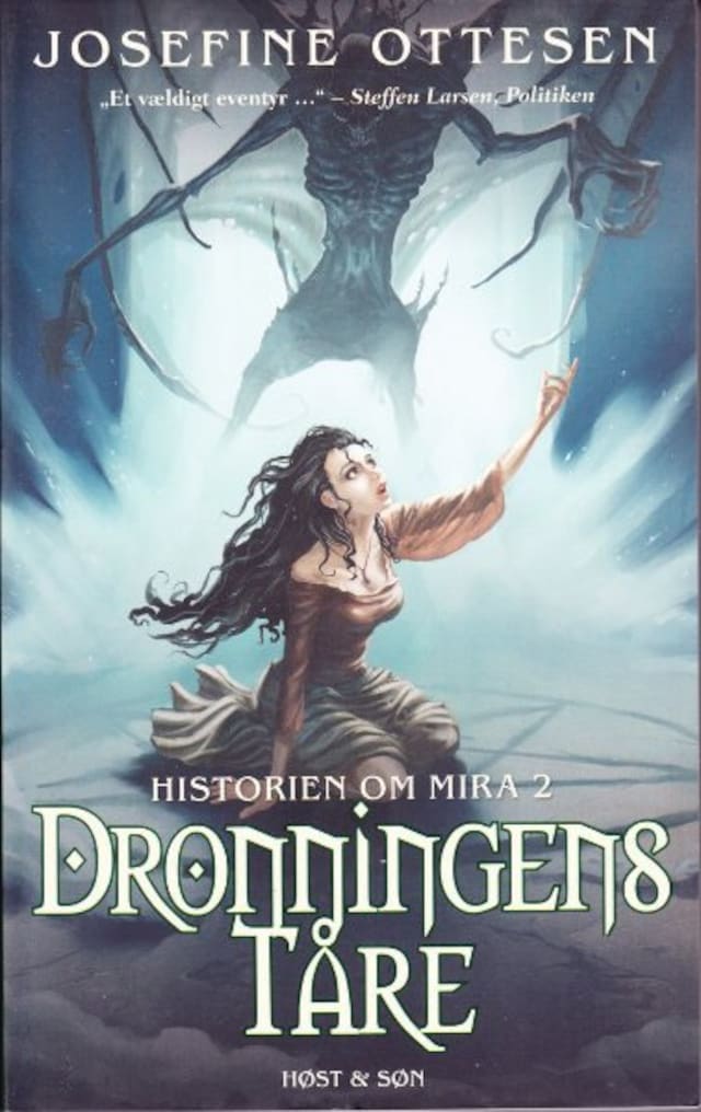 Book cover for Dronningens tåre
