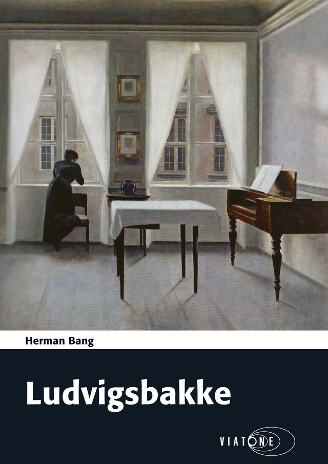 Boekomslag van Ludvigsbakke