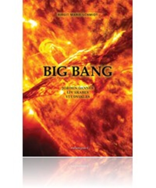 Couverture de livre pour Big Bang