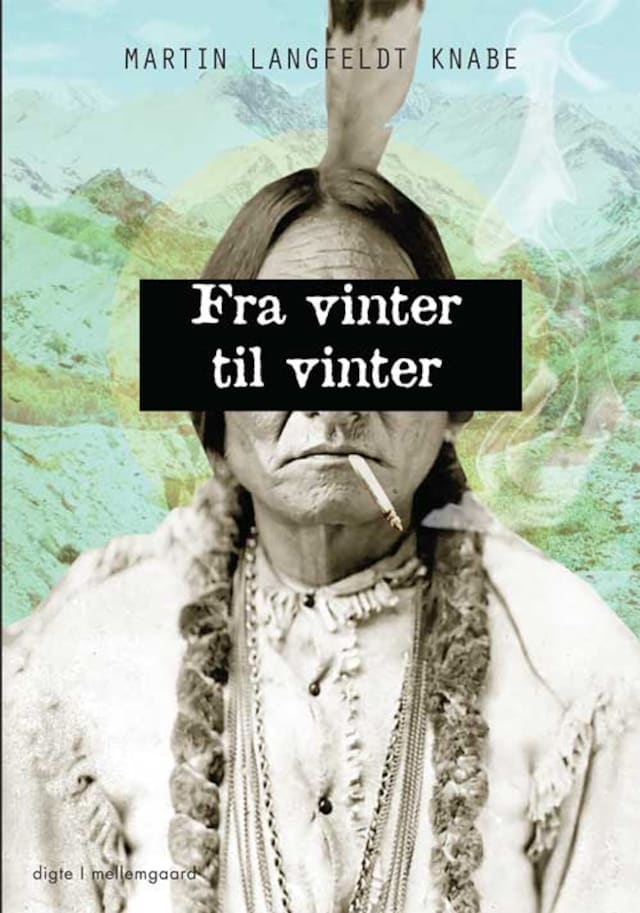 Buchcover für Fra vinter til vinter