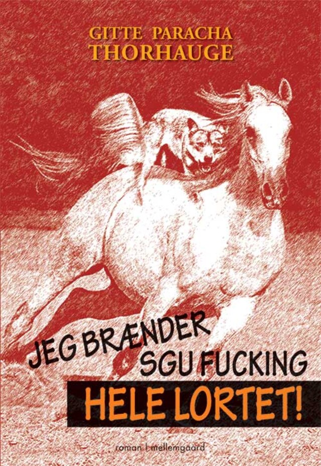 Book cover for Jeg brænder sgu fucking hele lortet