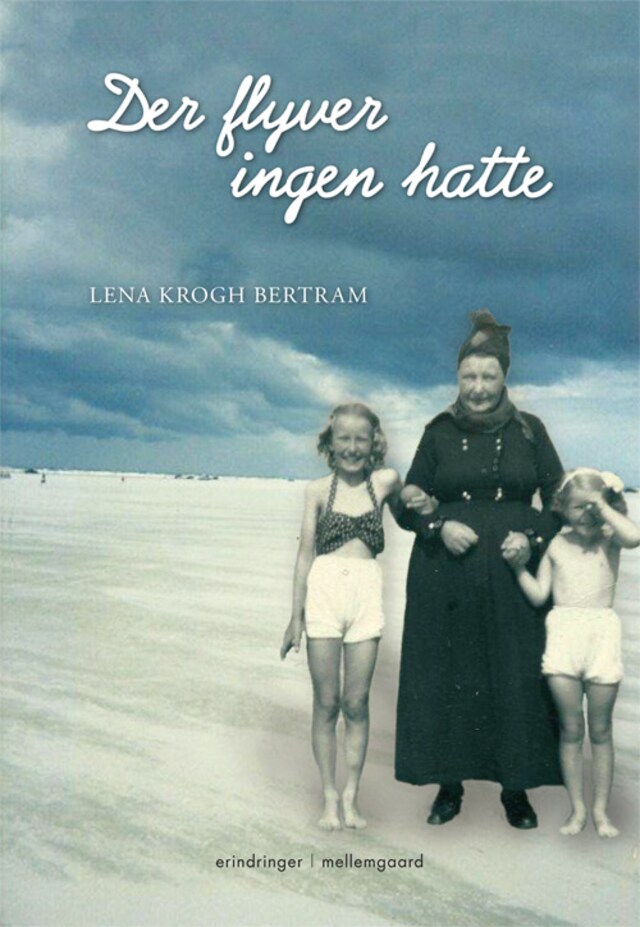 Book cover for Der flyver ingen hatte