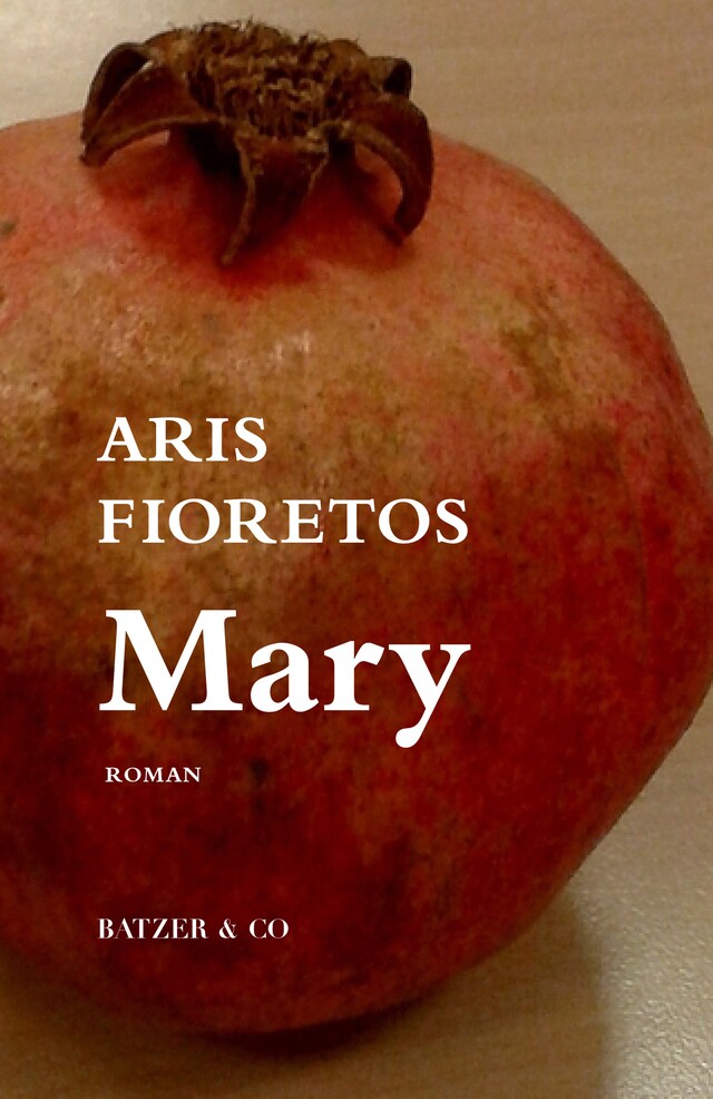 Copertina del libro per Mary