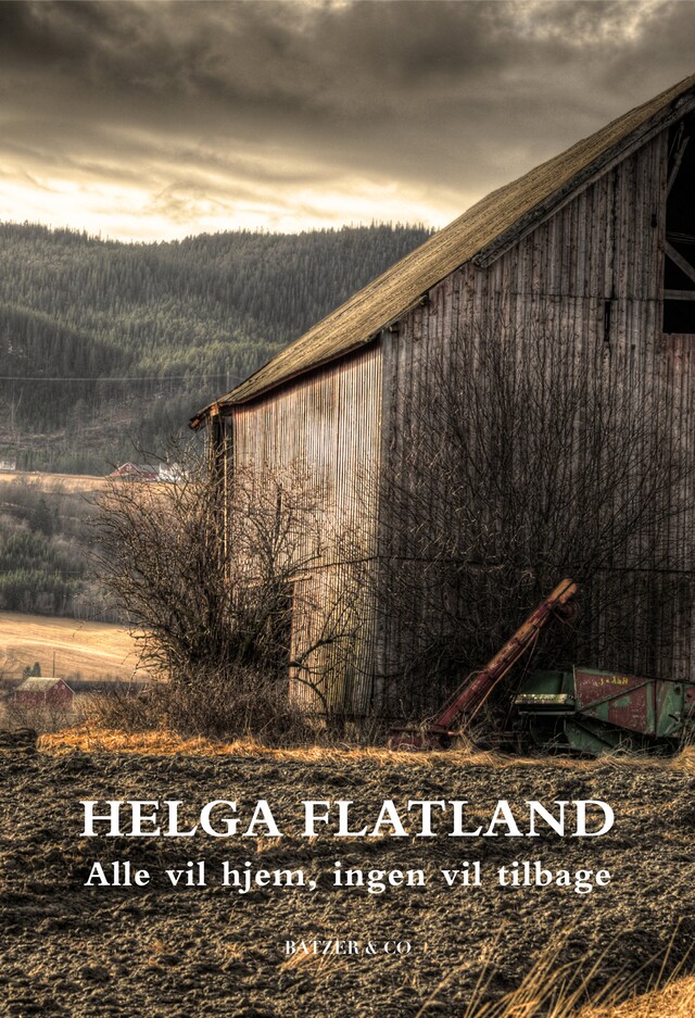 Book cover for Alle vil hjem, ingen vil tilbage