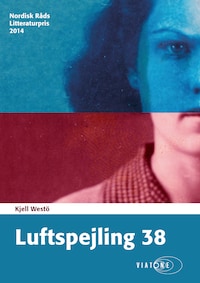 Luftspejling 38