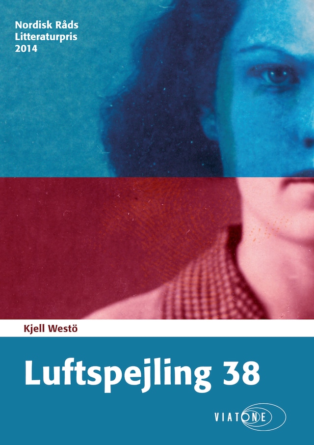 Book cover for Luftspejling 38