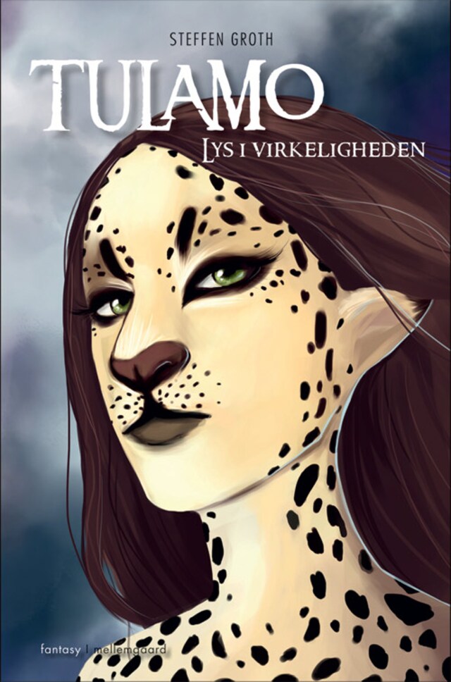 Book cover for Lys i virkeligheden