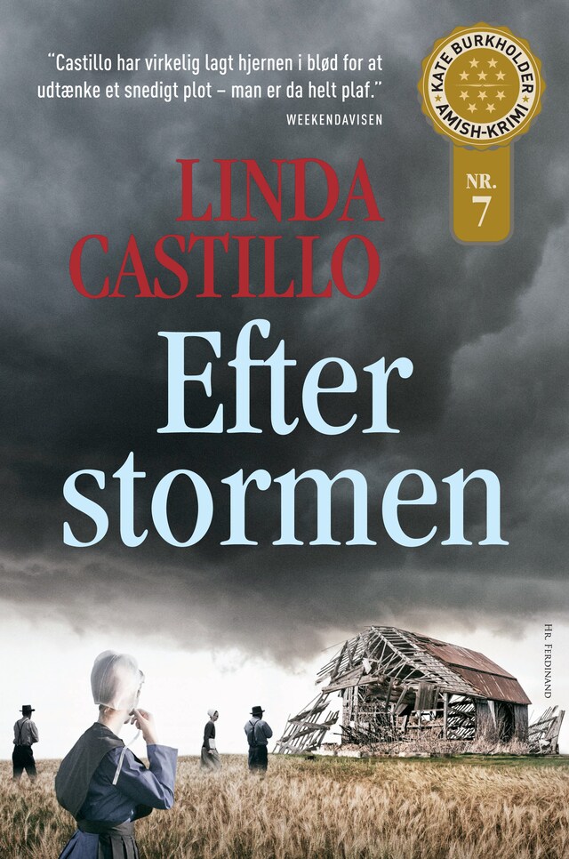 Book cover for Efter stormen