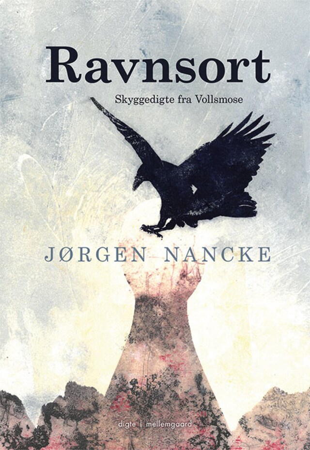 Book cover for Ravnsort