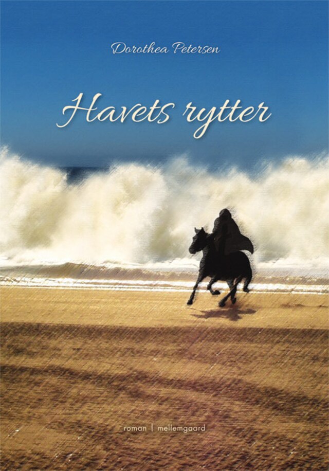 Book cover for Havets rytter