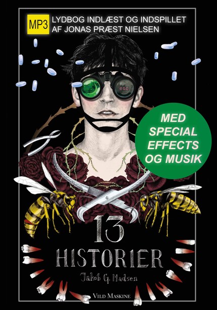 13 HISTORIER bookCoverFor