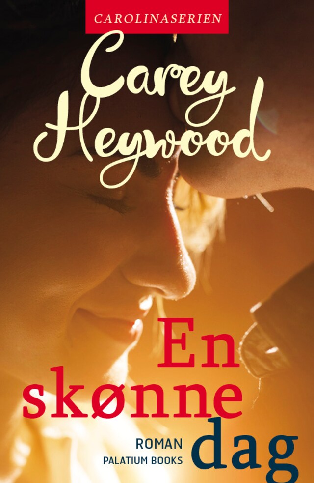 Book cover for En skønne dag