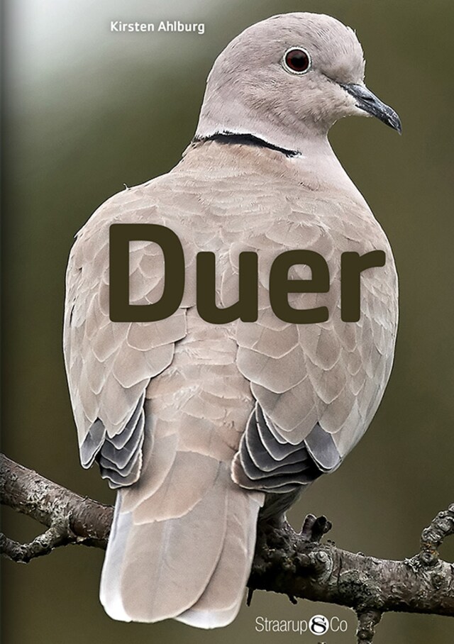 Book cover for Duer
