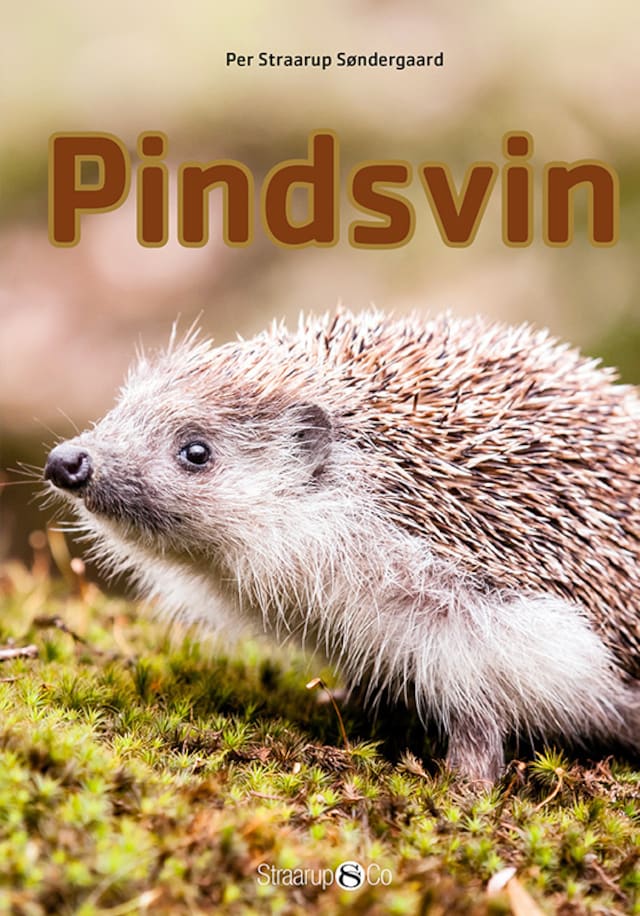Copertina del libro per Pindsvin