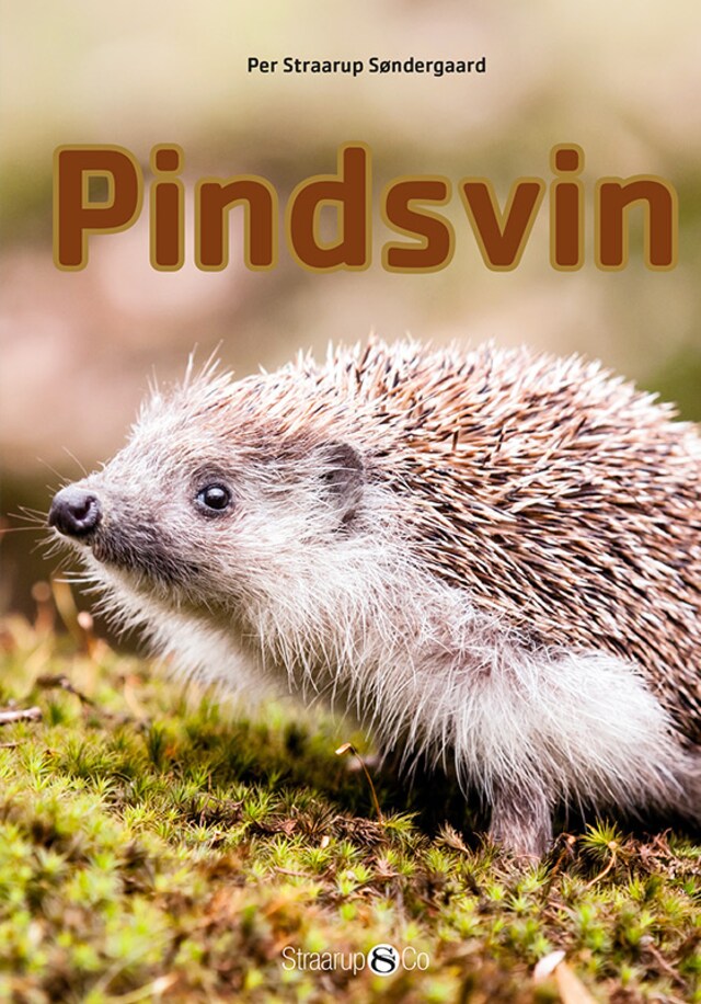 Copertina del libro per Pindsvin