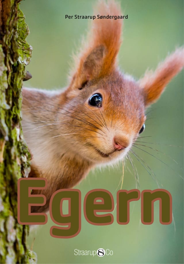 Book cover for Egern