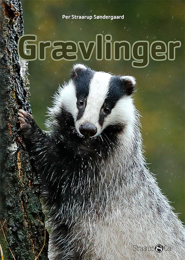 Book cover for Grævlinger