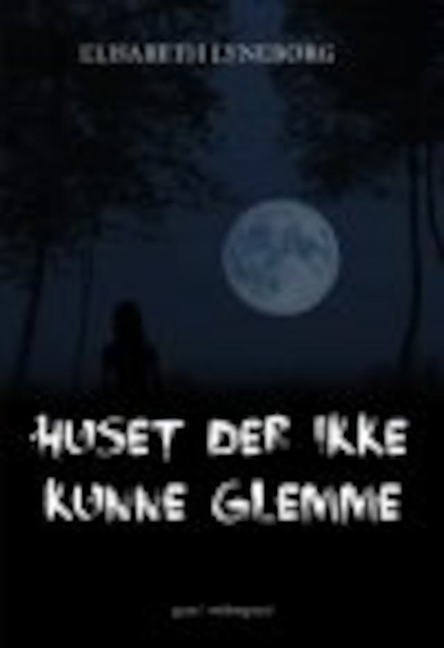 Book cover for HUSET DER IKKE KUNNE GLEMME