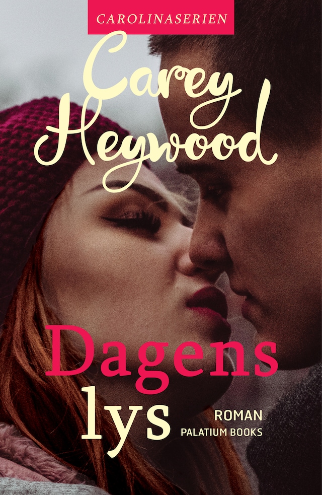 Book cover for Dagens lys
