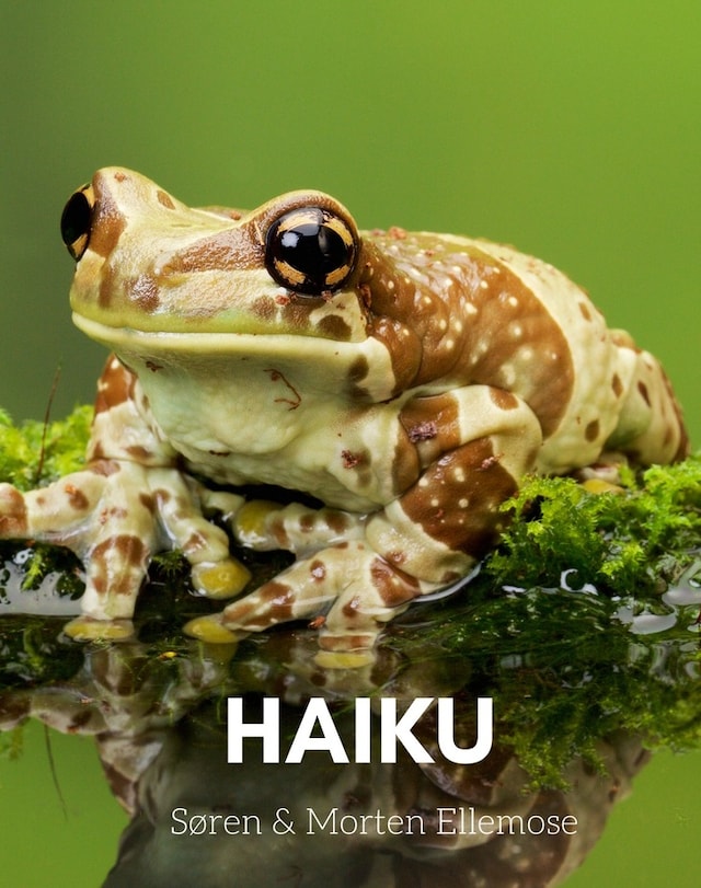 Book cover for HAIKU