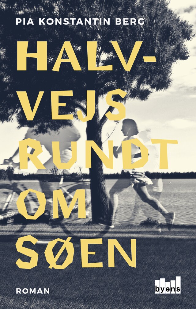 Book cover for Halvvejs rundt om søen