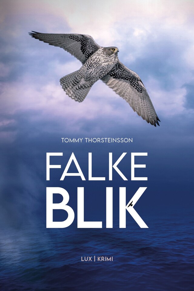 Book cover for Falkeblik