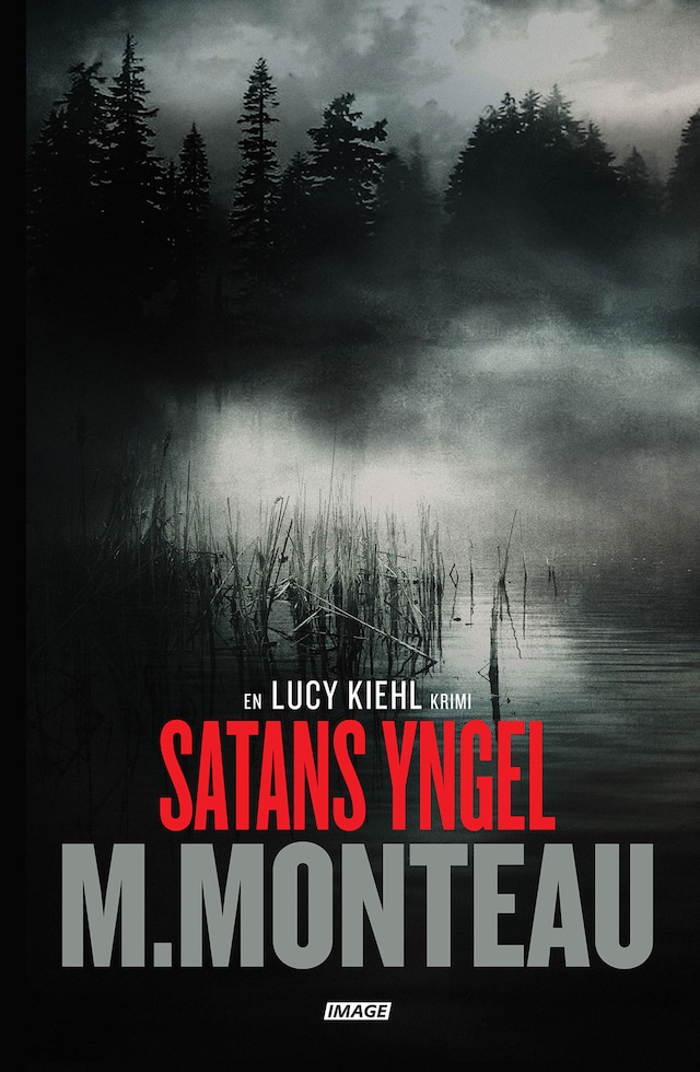 Book cover for Satans yngel
