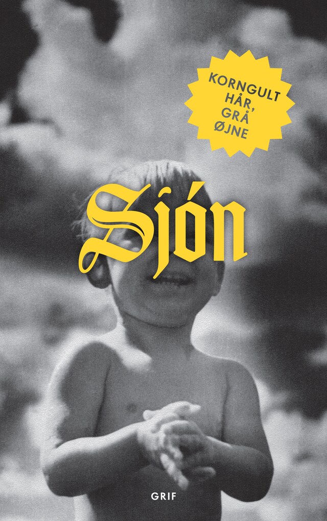 Book cover for Korngult hår, grå øjne