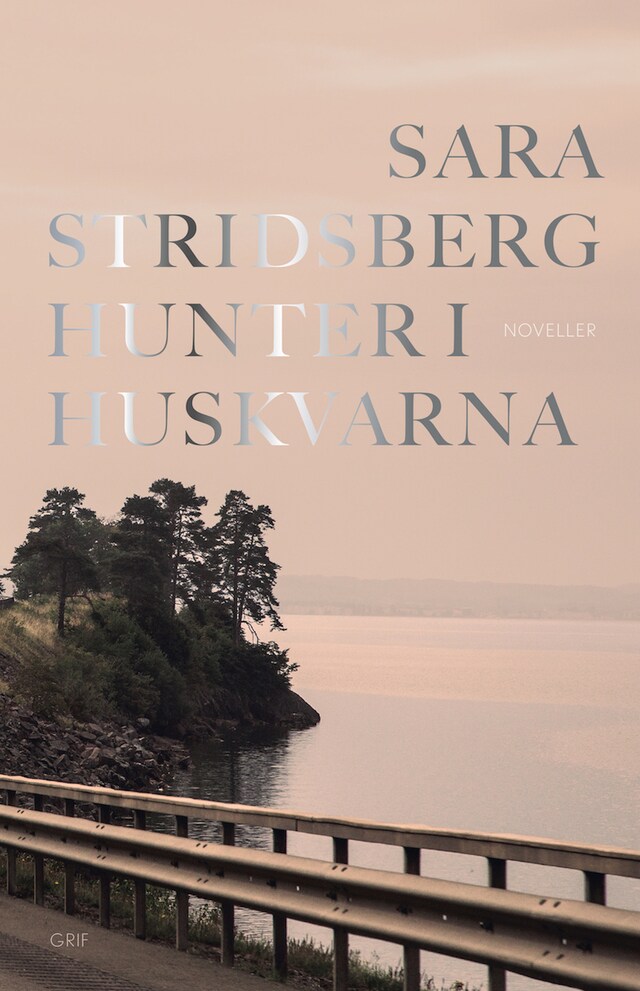Buchcover für Hunter i Huskvarna