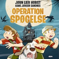 Operation Spøgelse