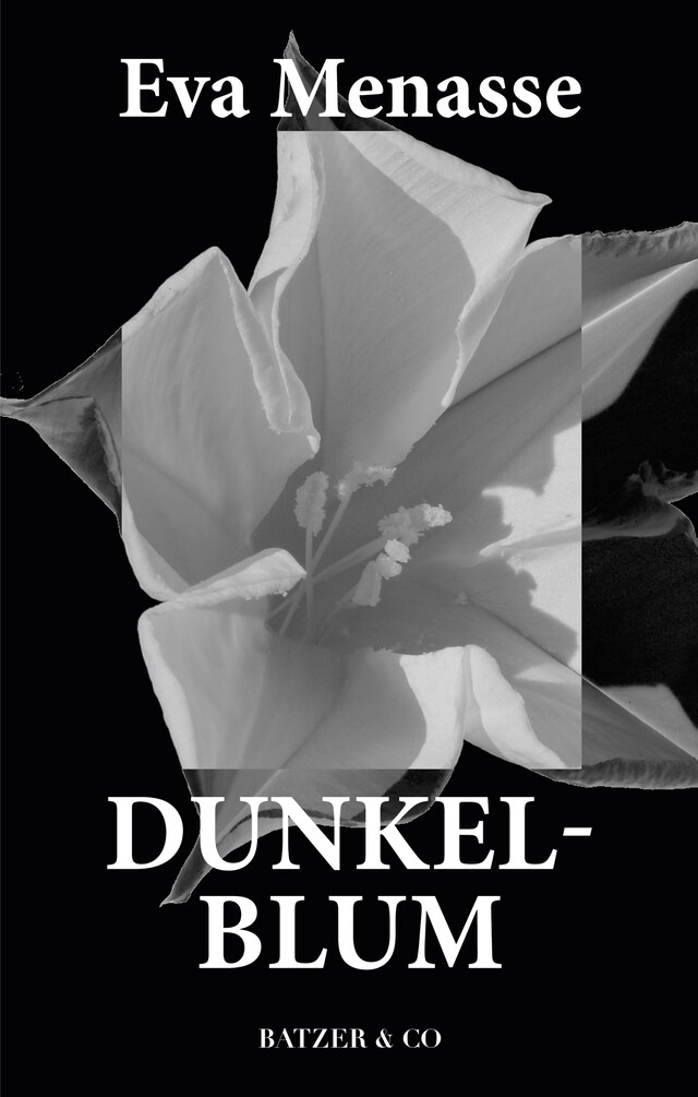 Book cover for Dunkelblum