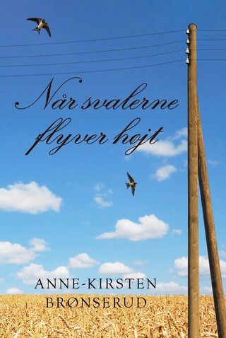 Når svalerne flyver højt bookCoverFor