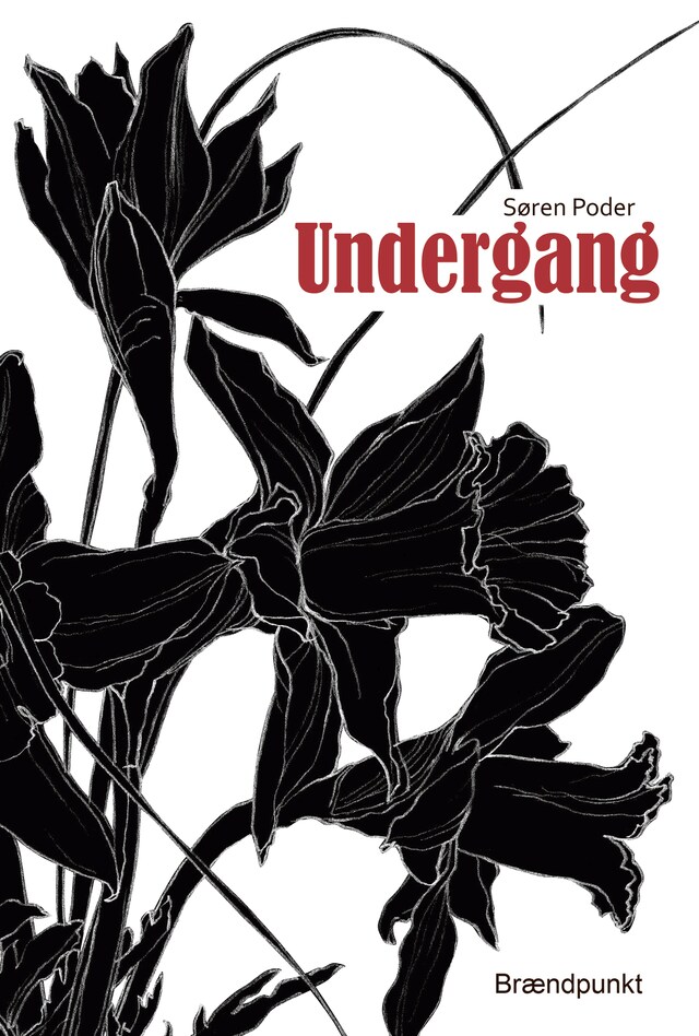 Portada de libro para Undergang