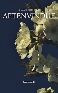 Aftenvindue