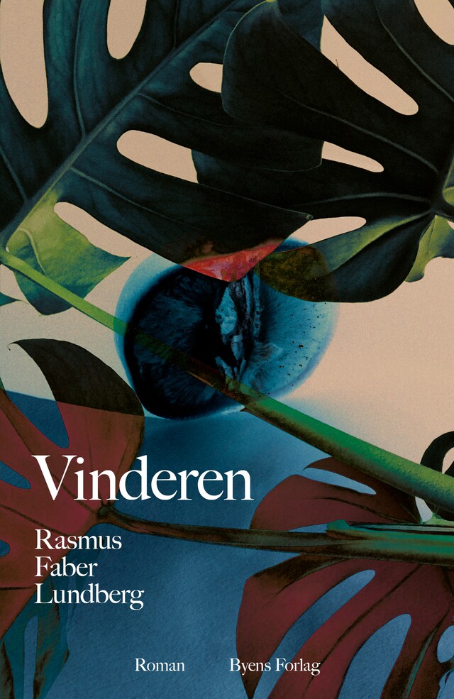 Book cover for Vinderen