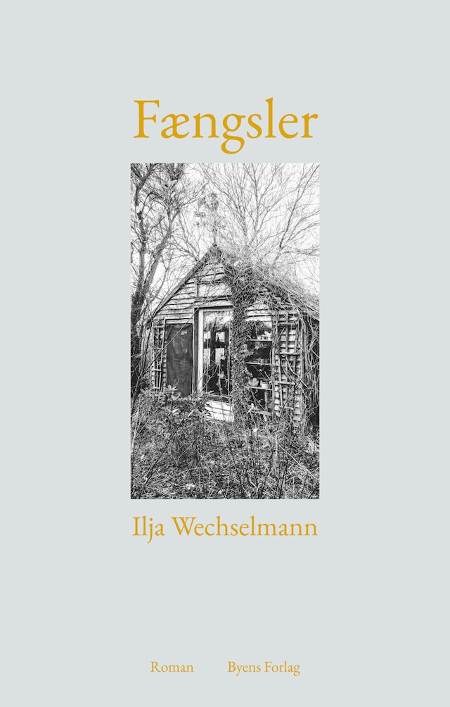 Book cover for Fængsler