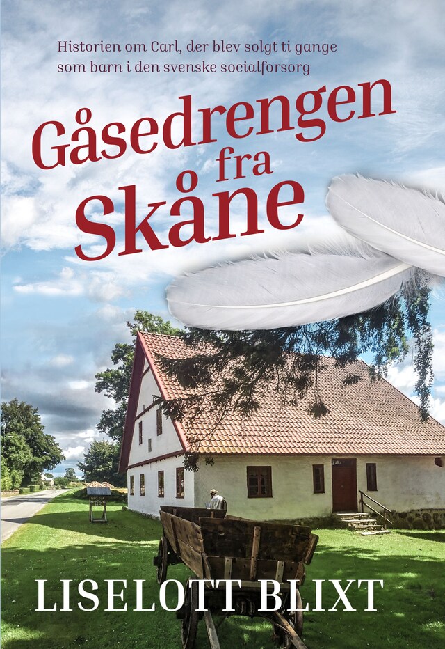 Couverture de livre pour Gåsedrengen fra Skåne