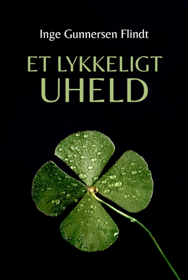 Buchcover für Et lykkeligt uheld