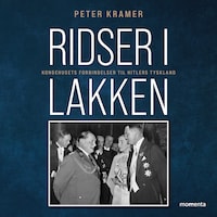 Ridser i lakken