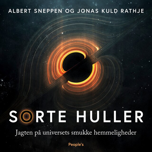 Book cover for Sorte huller