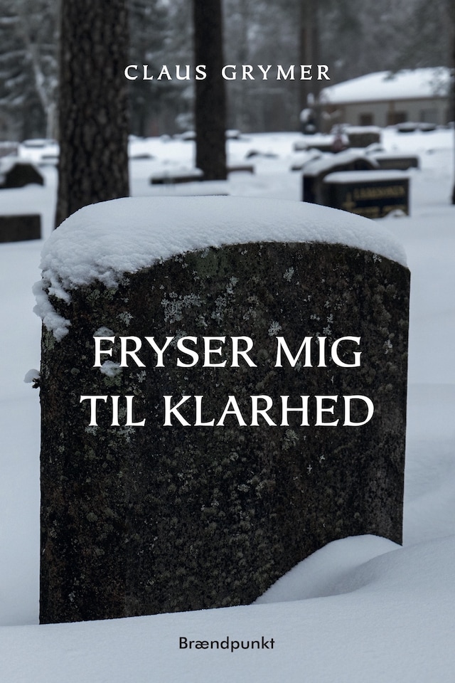 Book cover for Fryser mig til klarhed