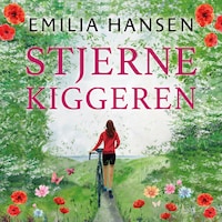 Stjernekiggeren