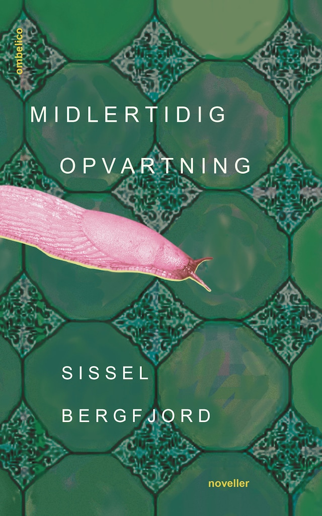 Book cover for Midlertidig opvartning