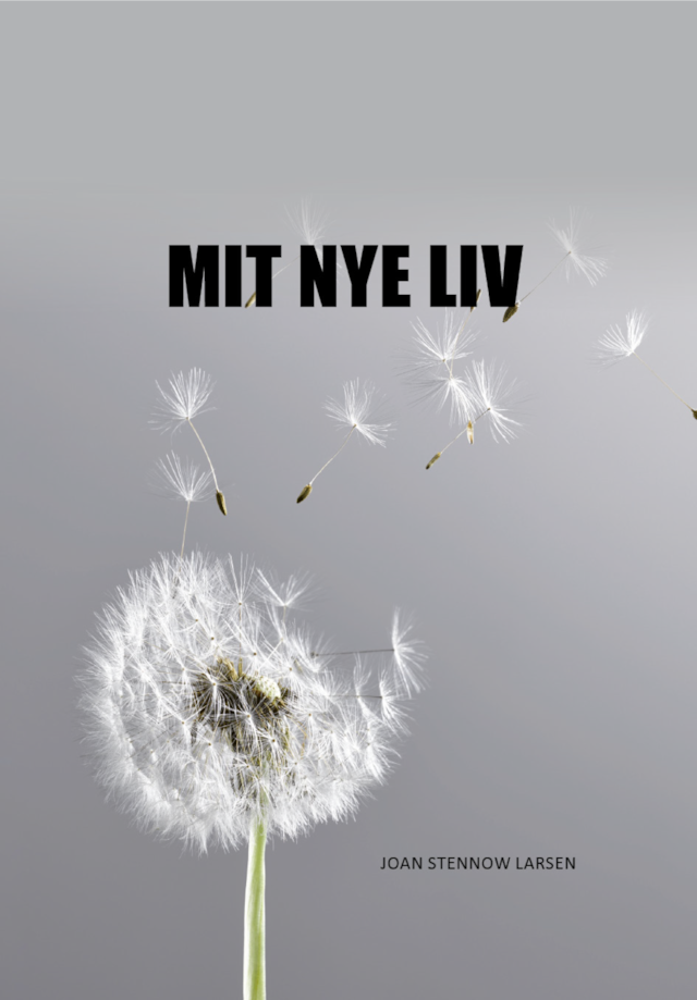 Book cover for MIT NYE LIV