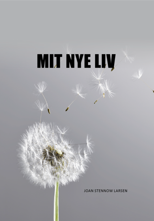 Buchcover für MIT NYE LIV