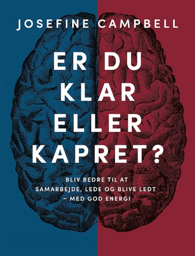 Couverture de livre pour Er du klar eller kapret?