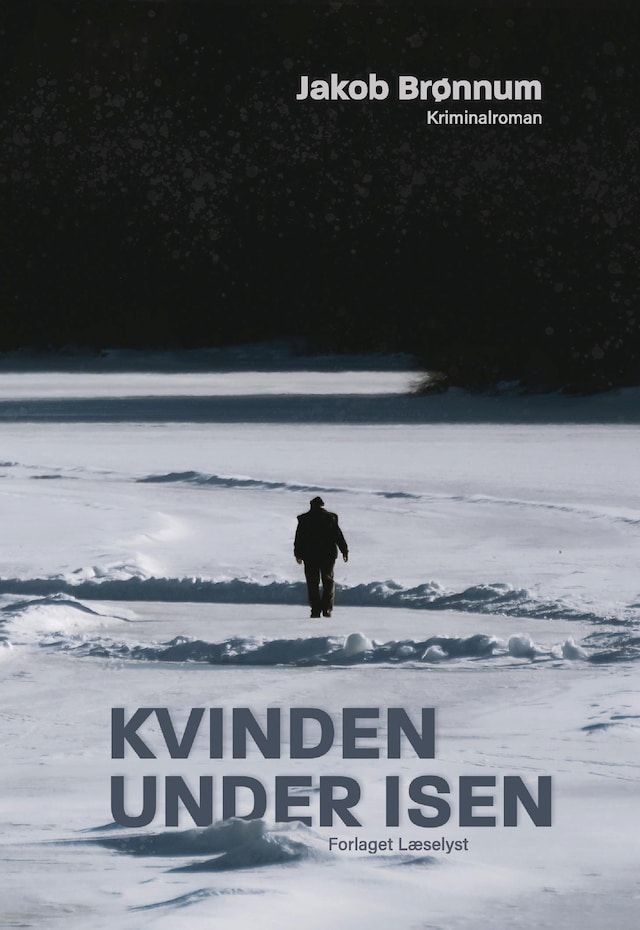 Book cover for Kvinden under isen