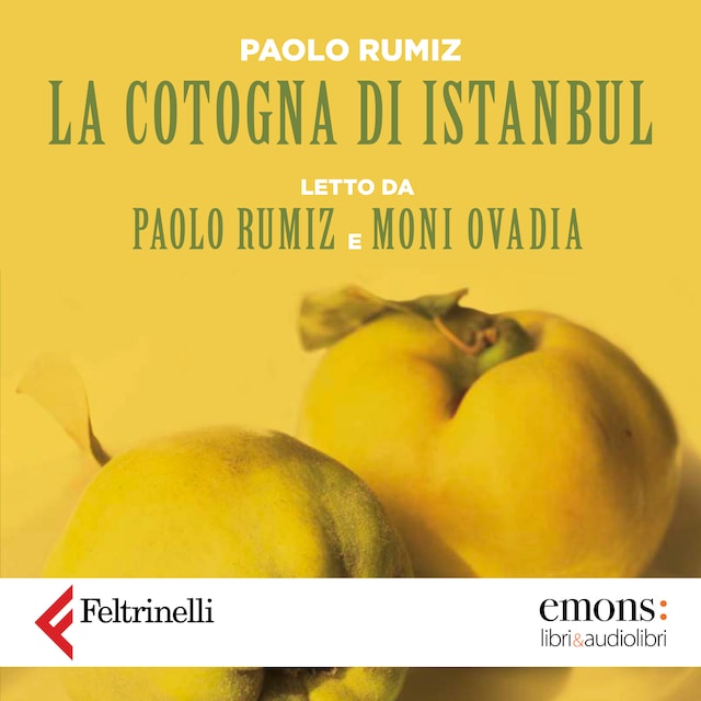 Copertina del libro per La cotogna di Istanbul